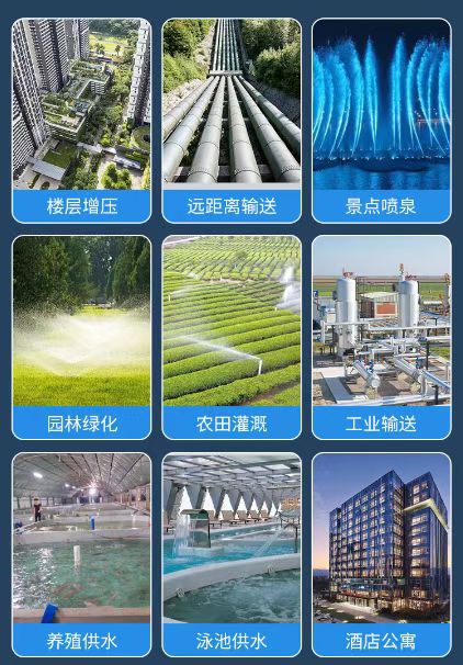 1731485980209808.jpg 6.jpg